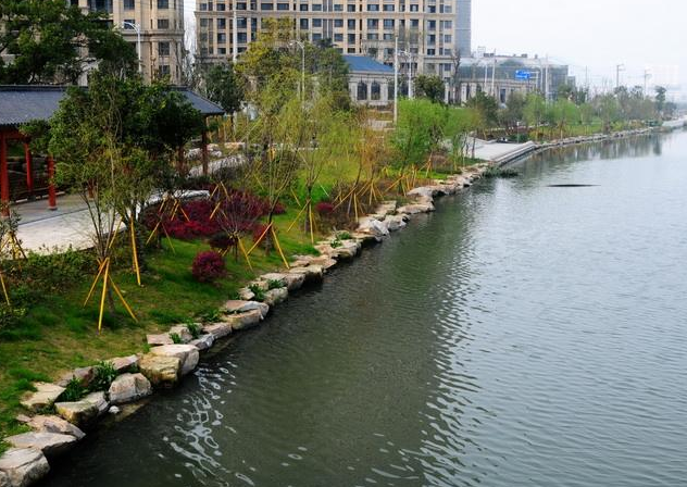 生態河道治理工程.png
